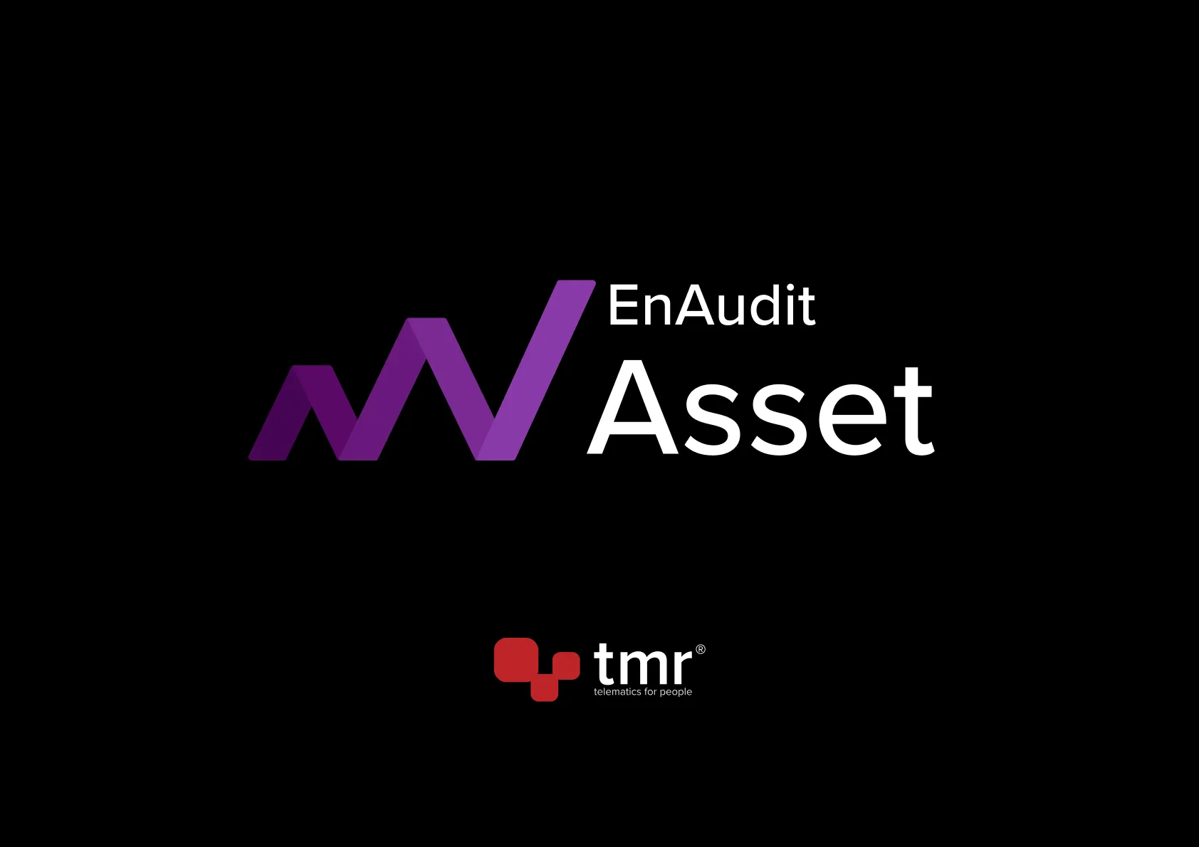 EnAudit Asset Core®, tmr®'s first ARM production load, is born